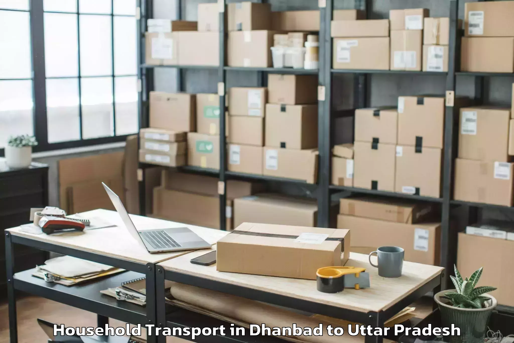 Top Dhanbad to Hapur Household Transport Available